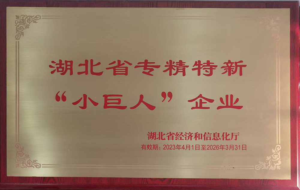 湖北省专精特新小巨人企业